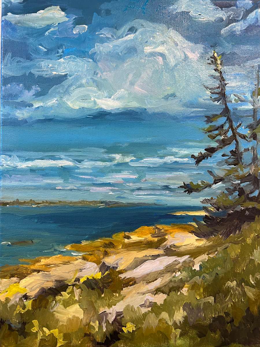 Schoodic Plein Air by Rachel Houlihan 