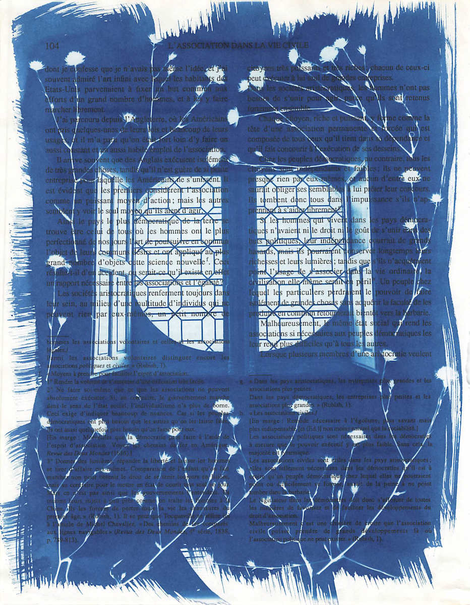 Chateau Chenonceau Window by Emily Hillhouse 