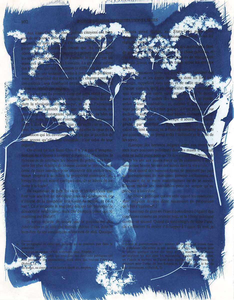 Sully by Emily Ruffner Hillhouse, Image 1.