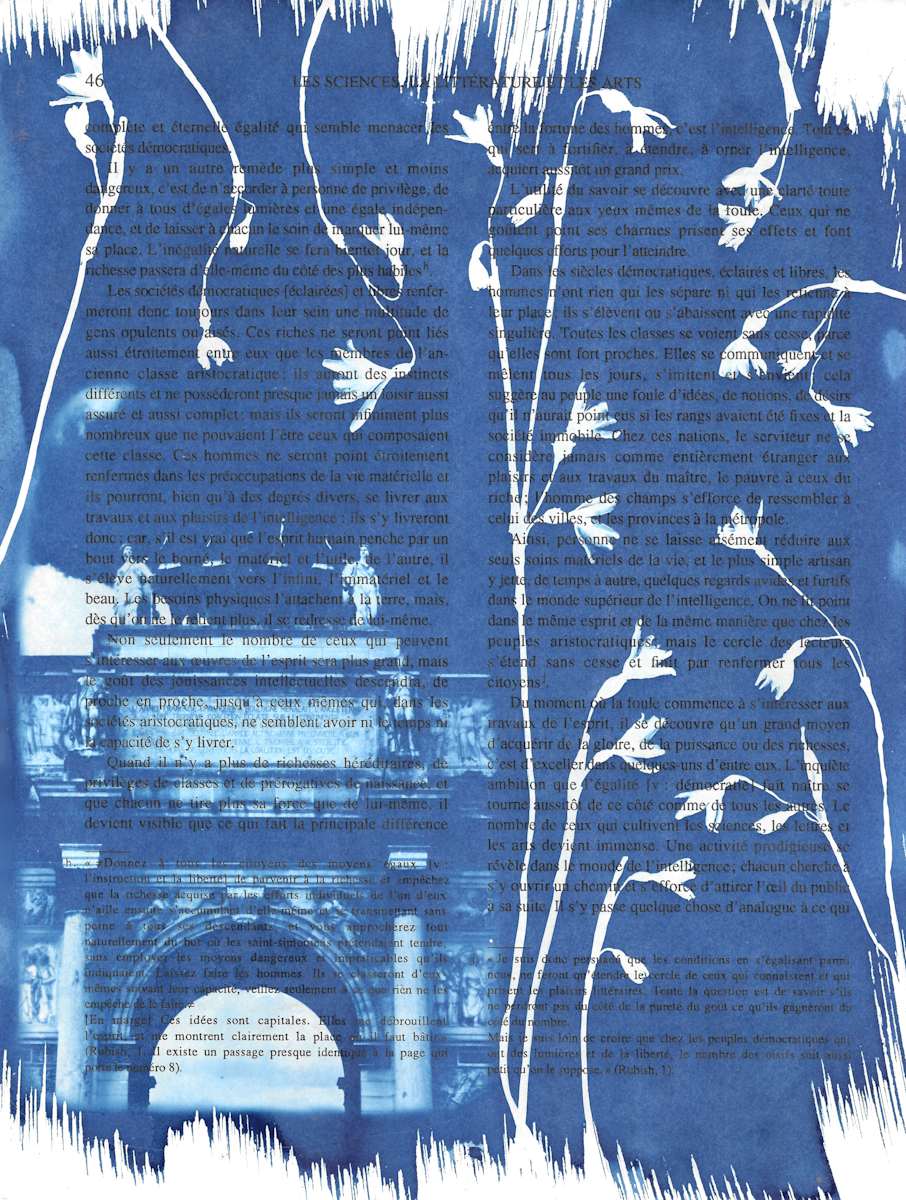 Arc de Triomphe du Carrousel by Emily Hillhouse, Image 4.