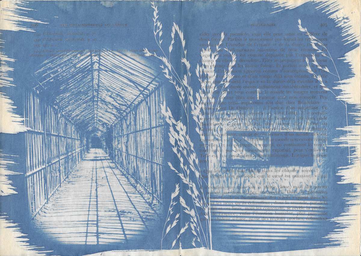 Versailles Walkway and Leeds Barn by Emily Hillhouse, Image 6.