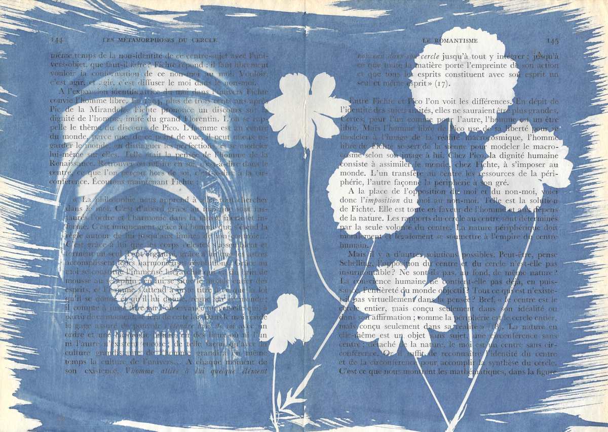 Strasbourg Cathedral by Emily Hillhouse, Image 5.