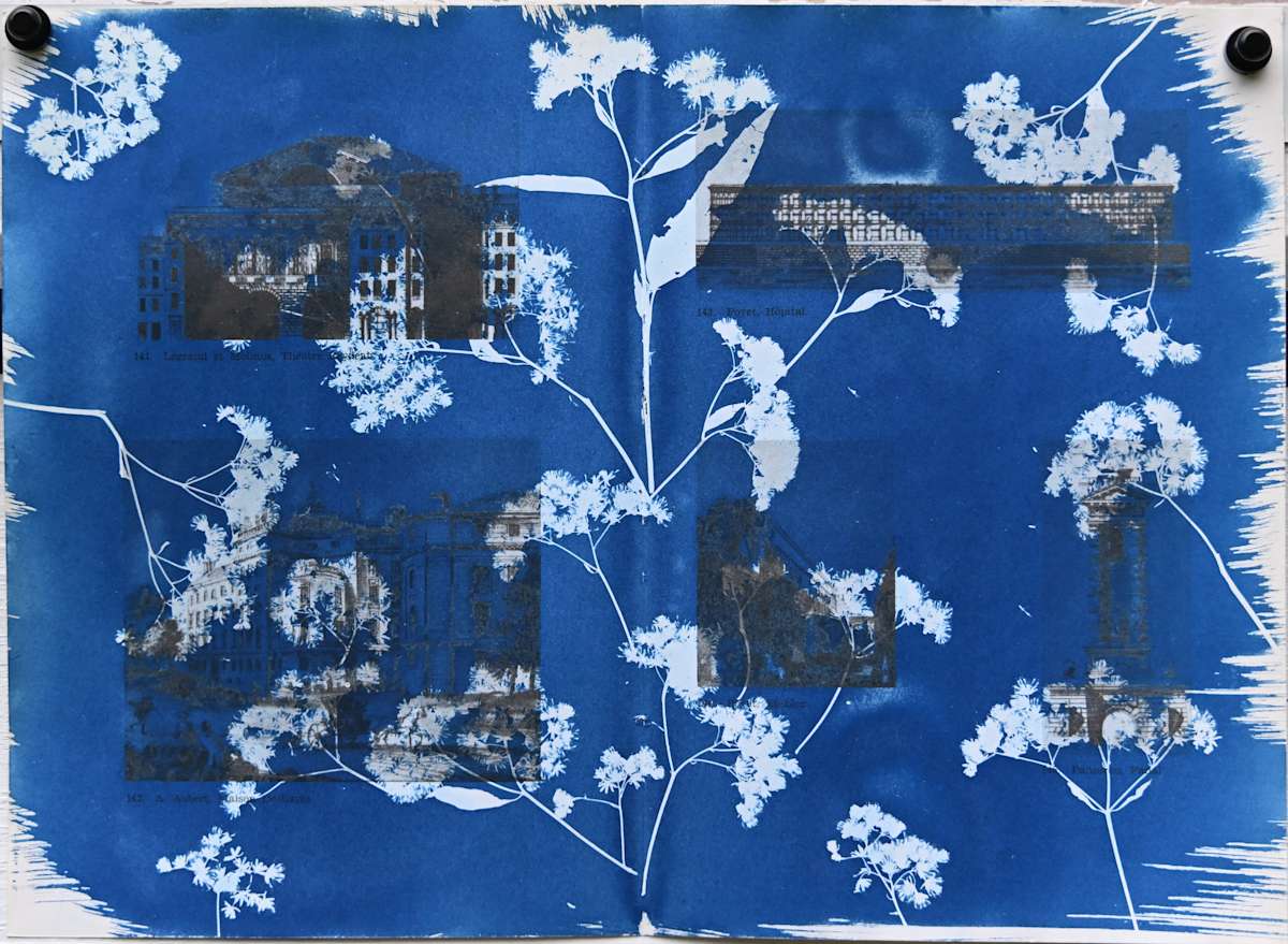 Flowers on Architecture Illustrations by Emily Hillhouse 