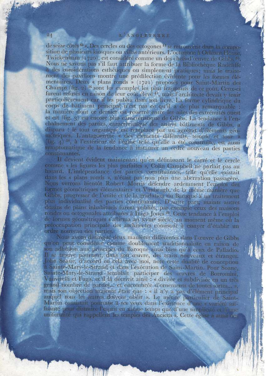 Cahaba Lily Print by Emily Ruffner Hillhouse, Image 3.