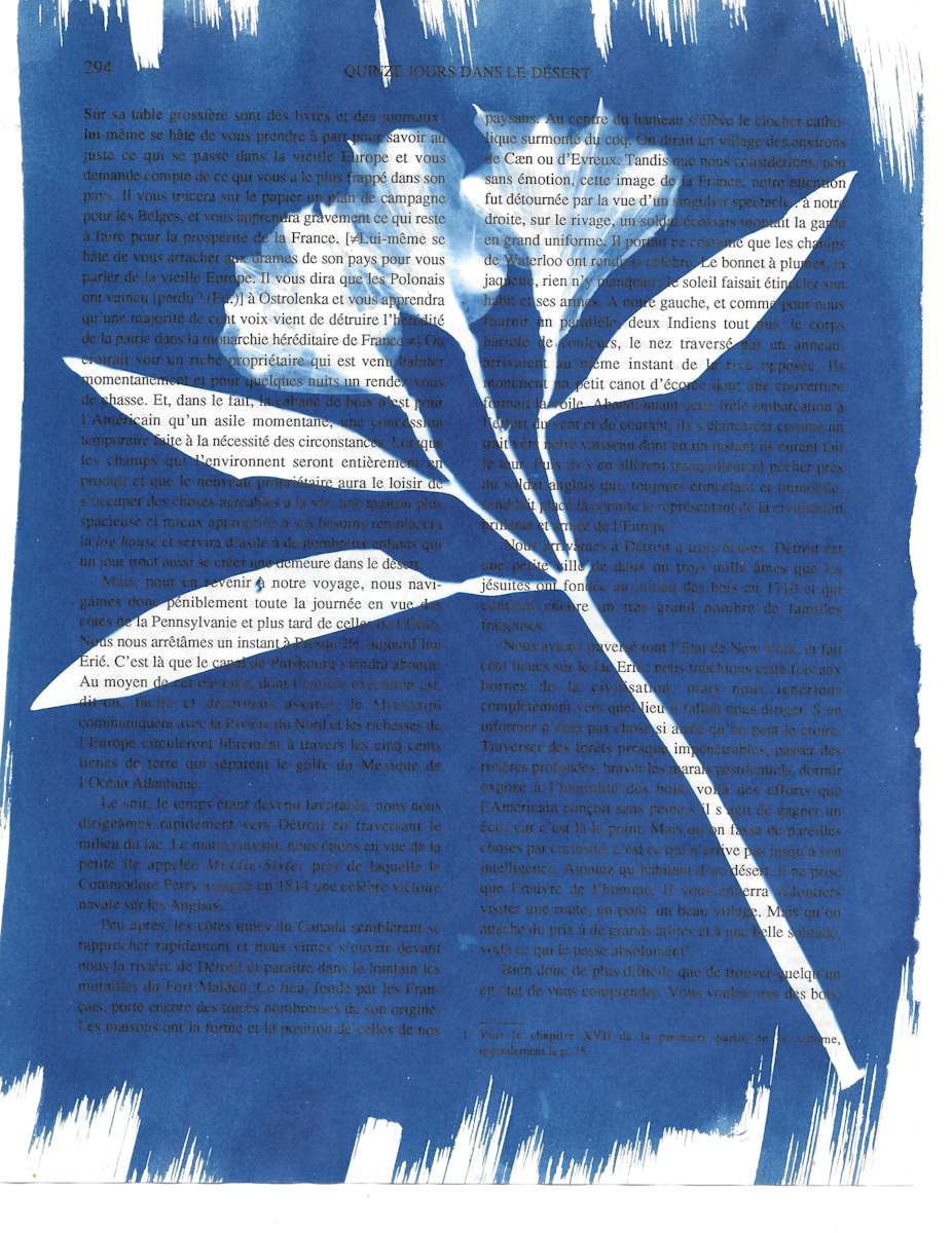 Azalea Print by Emily Ruffner Hillhouse, Image 7.