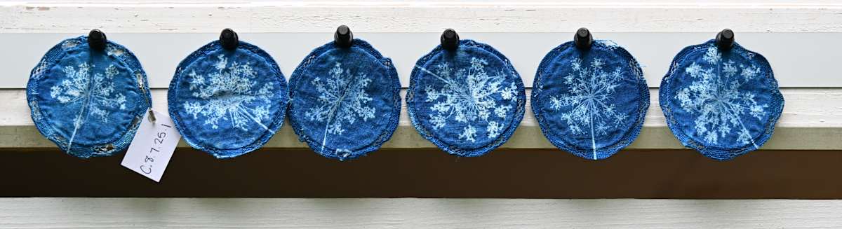 Queen Anne's Lace Wine Glass Coasters by Emily Hillhouse 