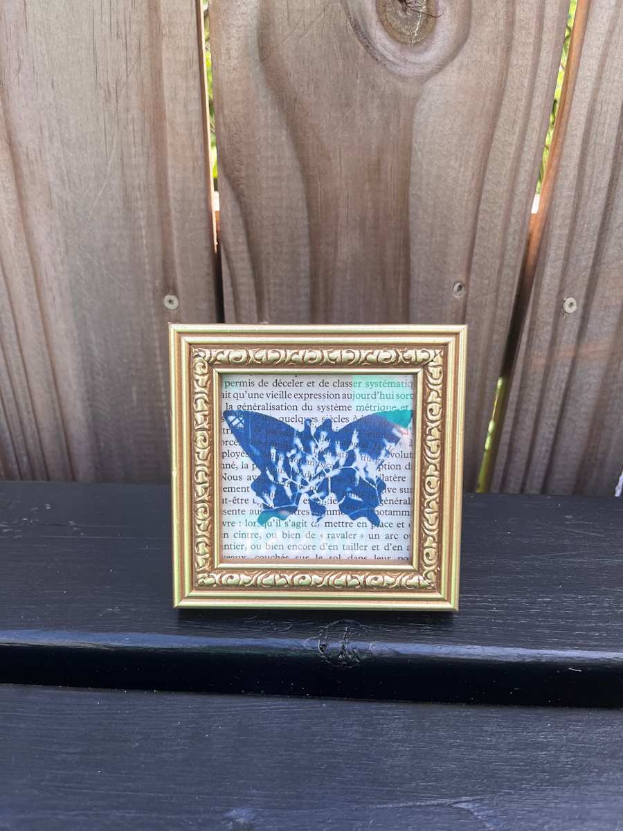 Framed Butterfly Collage by Emily Ruffner Hillhouse, Image 1.
