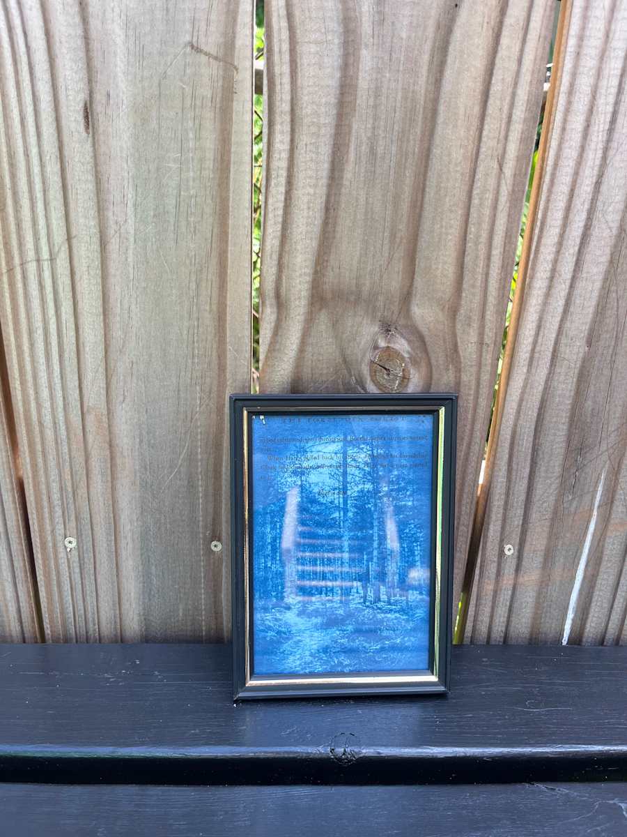 The Forbidden Forest by Emily Ruffner Hillhouse, Image 1.