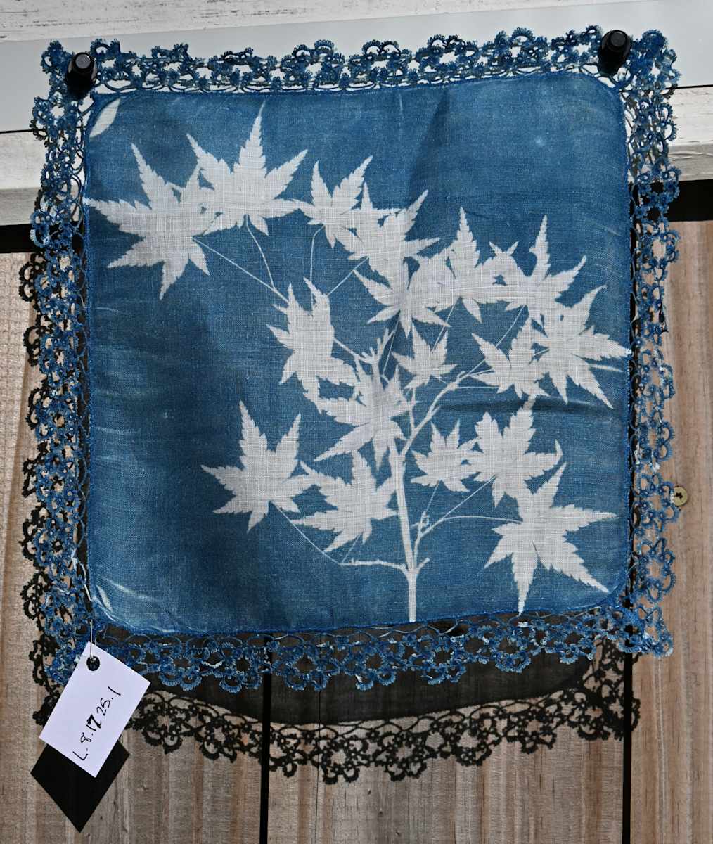 Japanese Maple Handkercheif by Emily Hillhouse, Image 8.