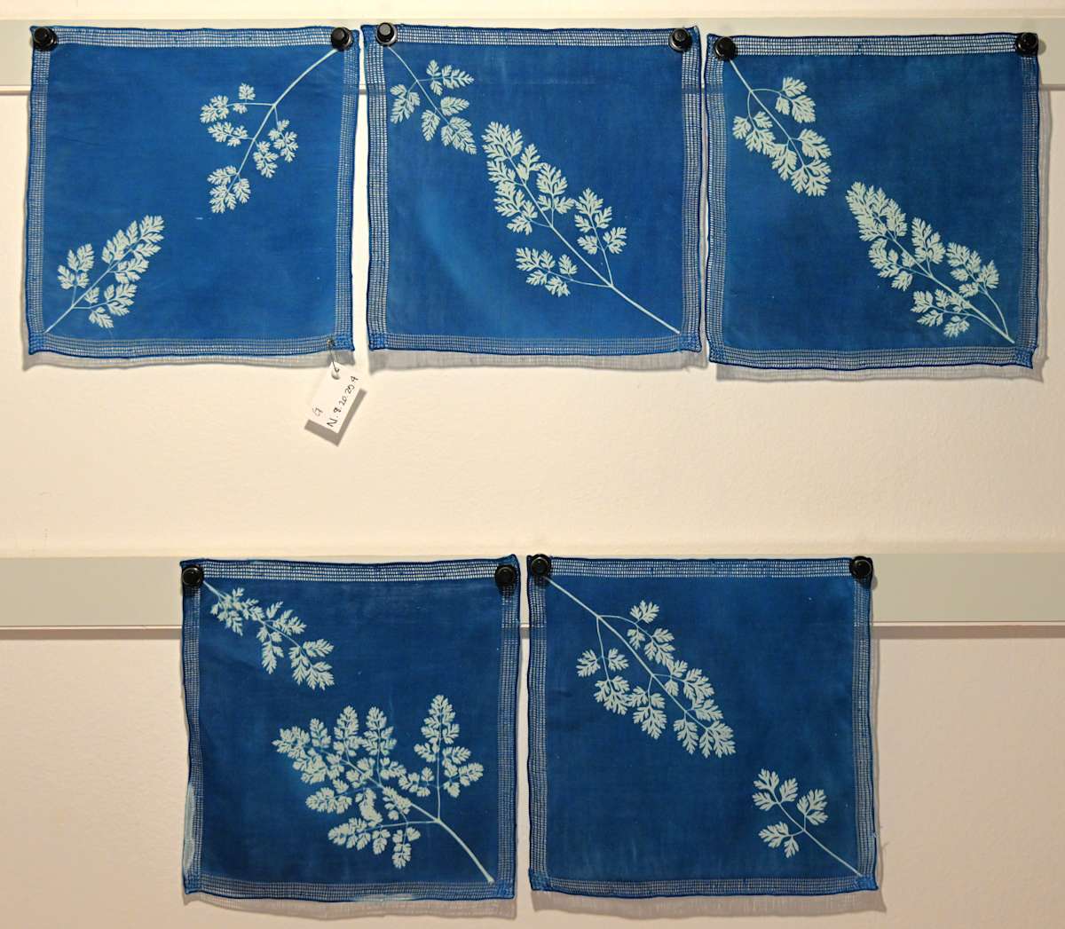 Botanical Napkin Set by Emily Hillhouse, Image 2.
