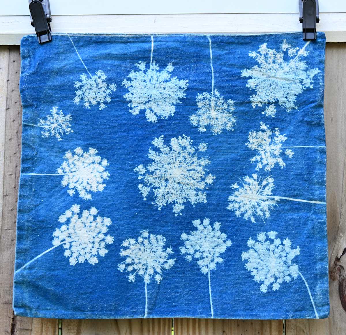 Queen Anne's Lace Pillow Cover by Emily Hillhouse 