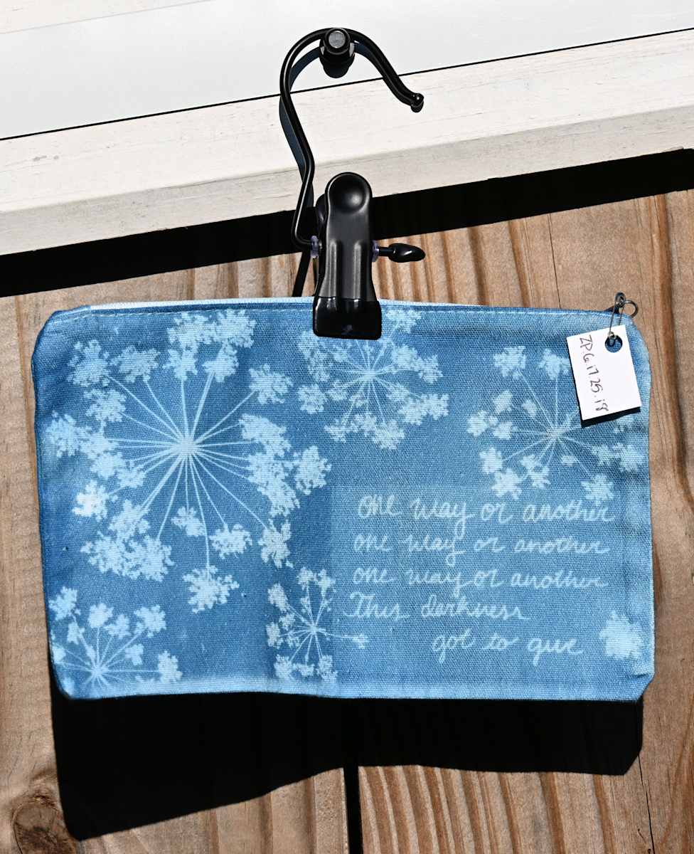 New Speedway Boogie Zipper Pouch by Emily Hillhouse 