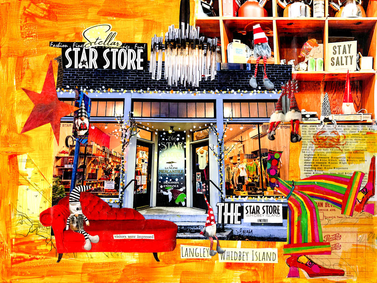 Star Store by Lisa Graff 