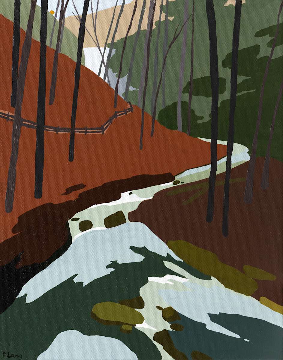 Cloudland Canyon by Elizabeth 