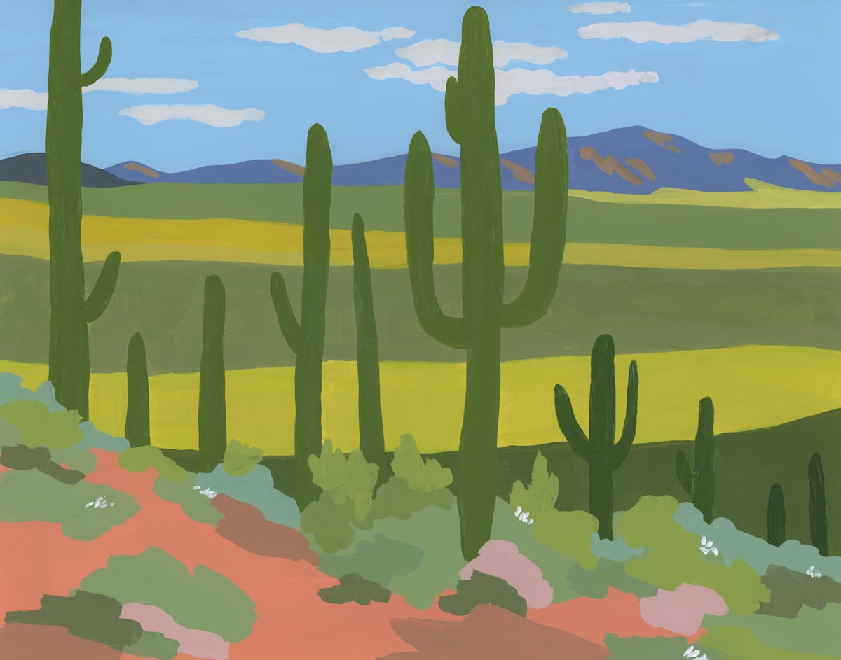 Saguaro National Park by Elizabeth 