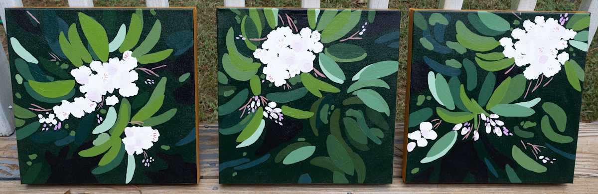 Three Mountain Laurels by Elizabeth 