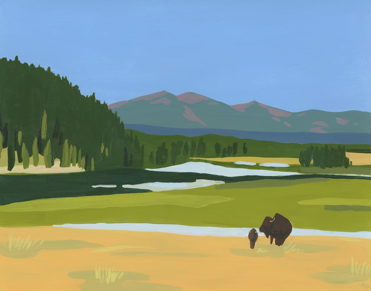 Yellowstone National Park by Elizabeth 