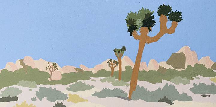 Joshua Tree by Elizabeth 