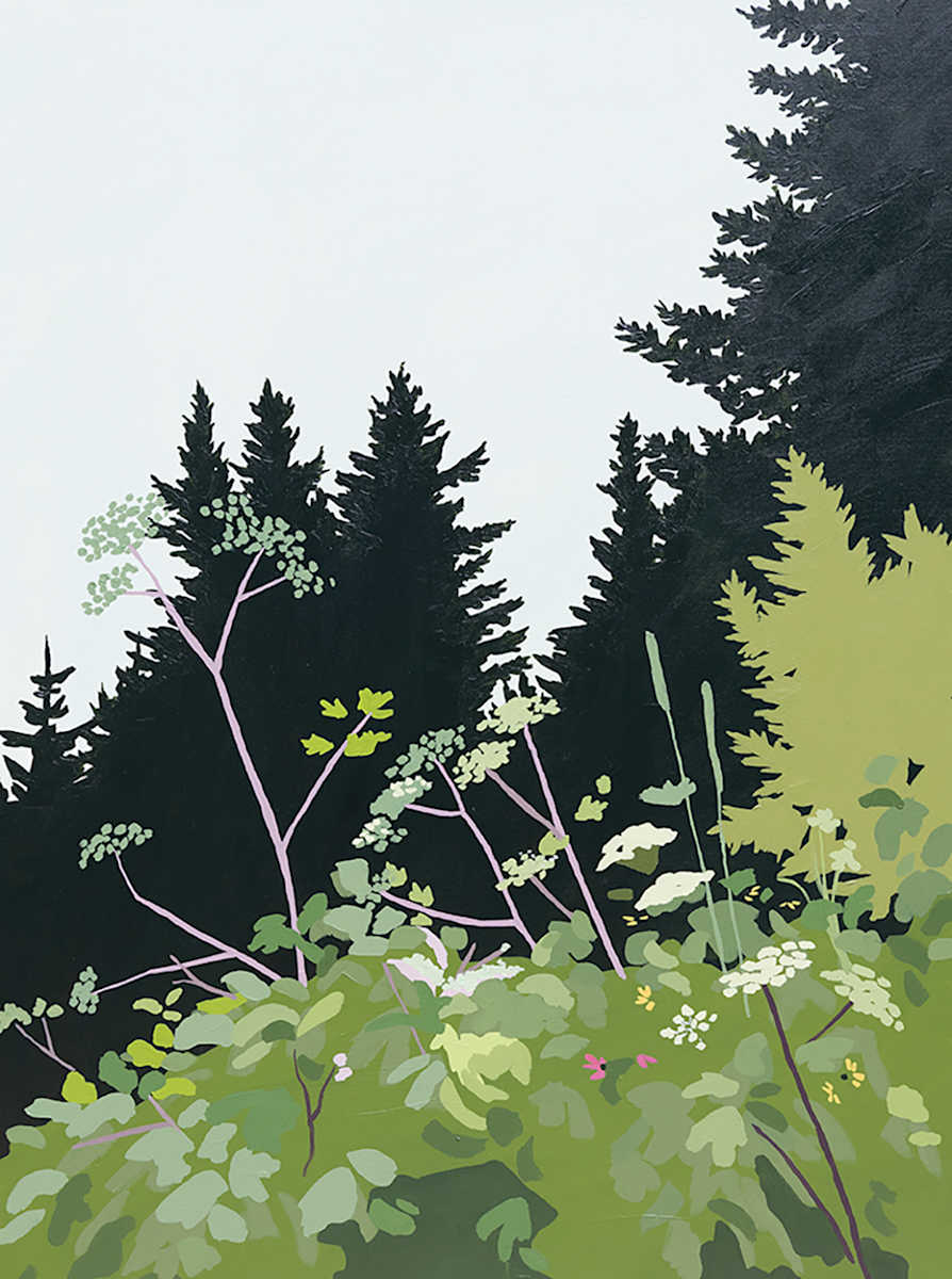 Mountain Flowers by Elizabeth 