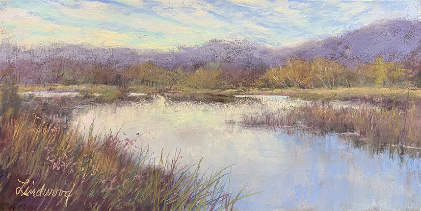 Wetlands by Gretha Lindwood 