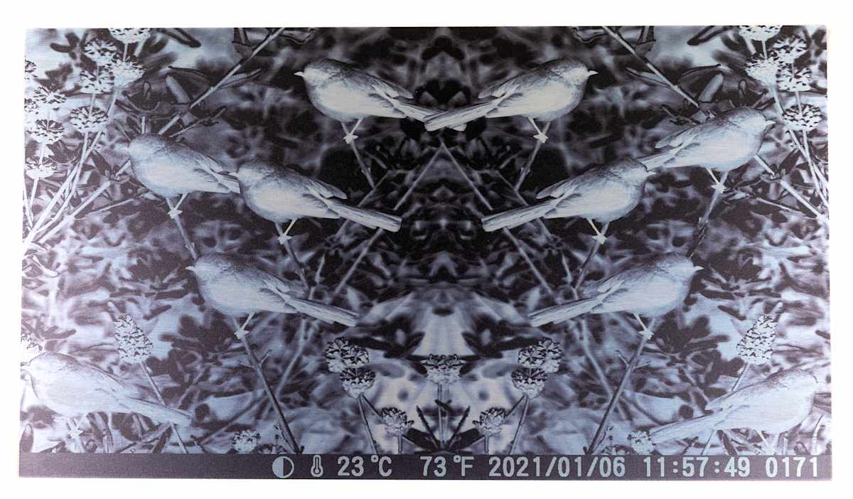 Encuentra Agua by Francisco Eme, Image 1.