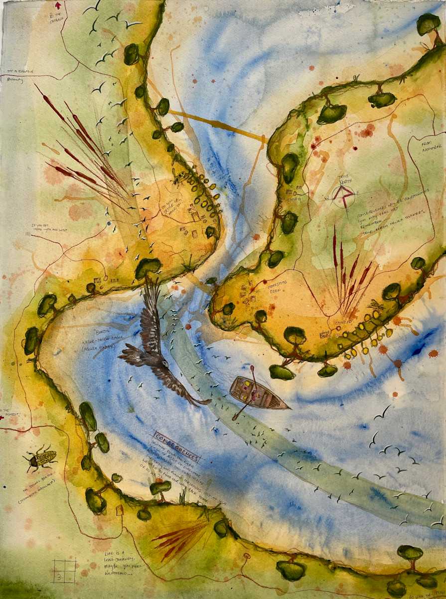 Consequences by Dr Phillip B. Roös, Image 1.