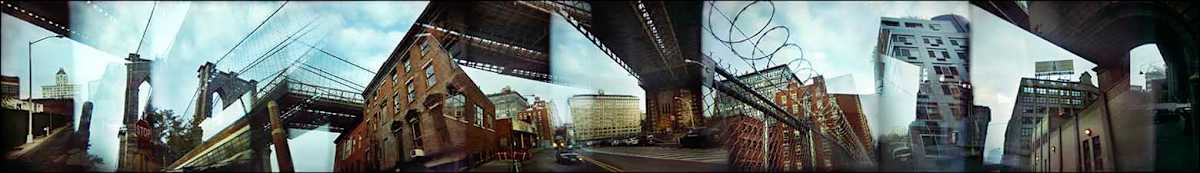 Dumbo and Barbs by Susan Bowen 