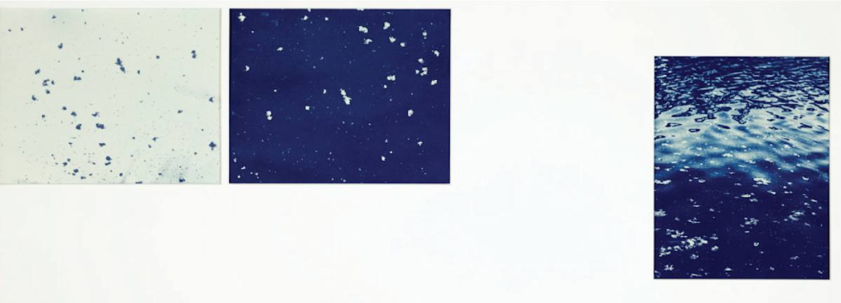 Raisin River 2 (triptych) by Brittanie Bondie 