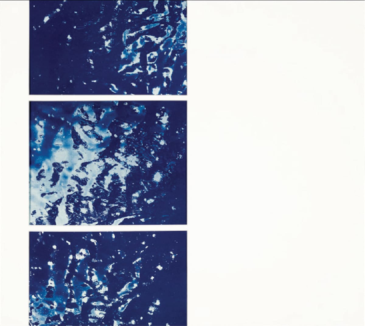 Raisin River 5 (triptych) by Brittanie Bondie 