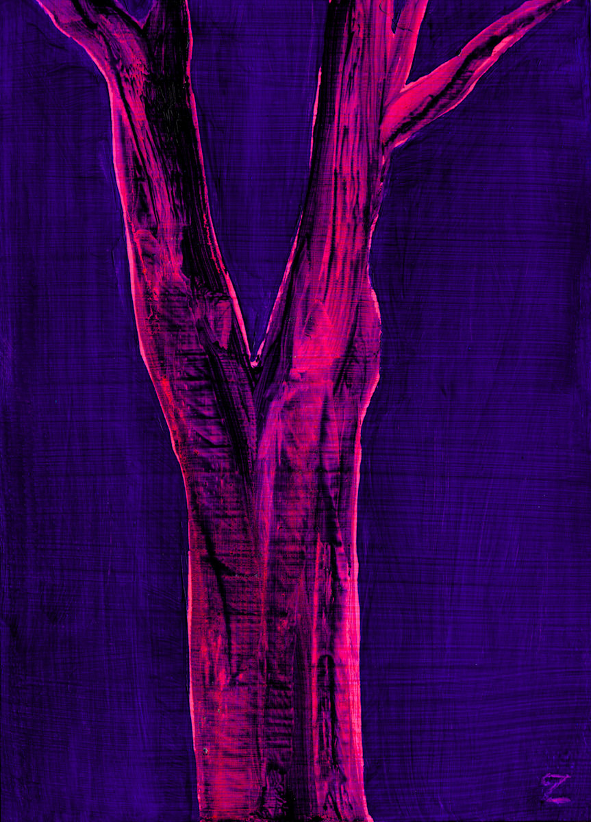 Under the Canopy, We Linger (Maple at Night 1) by Cole Zlata 