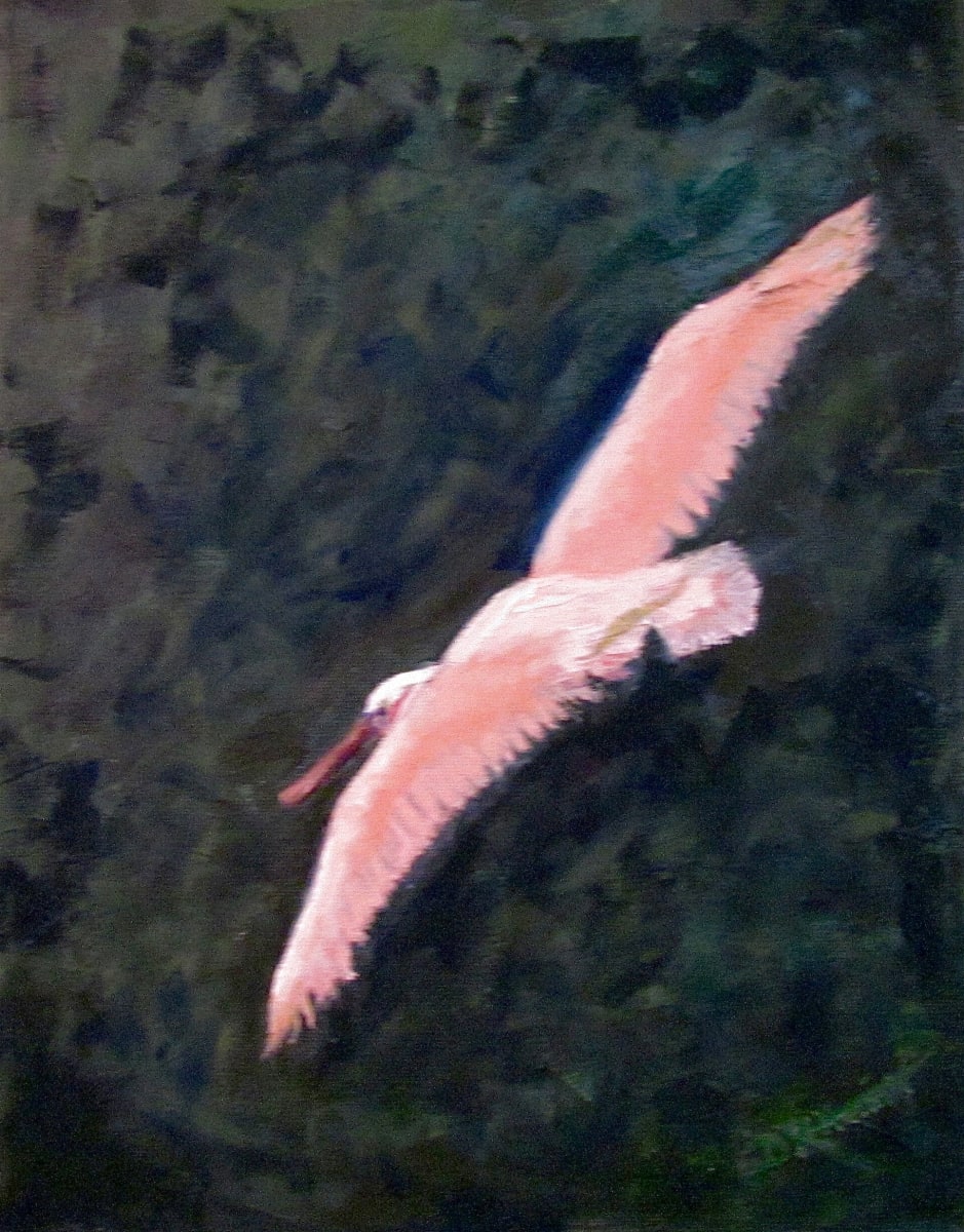 Spoonbill Flight by Diane K. Hewitt  Image: A Beautiful Cross Spoonbill Soars Above The Forest In Amelia Island, Florida in 'Spoonbill Flight' By Georgia Artist Diane K. Hewitt