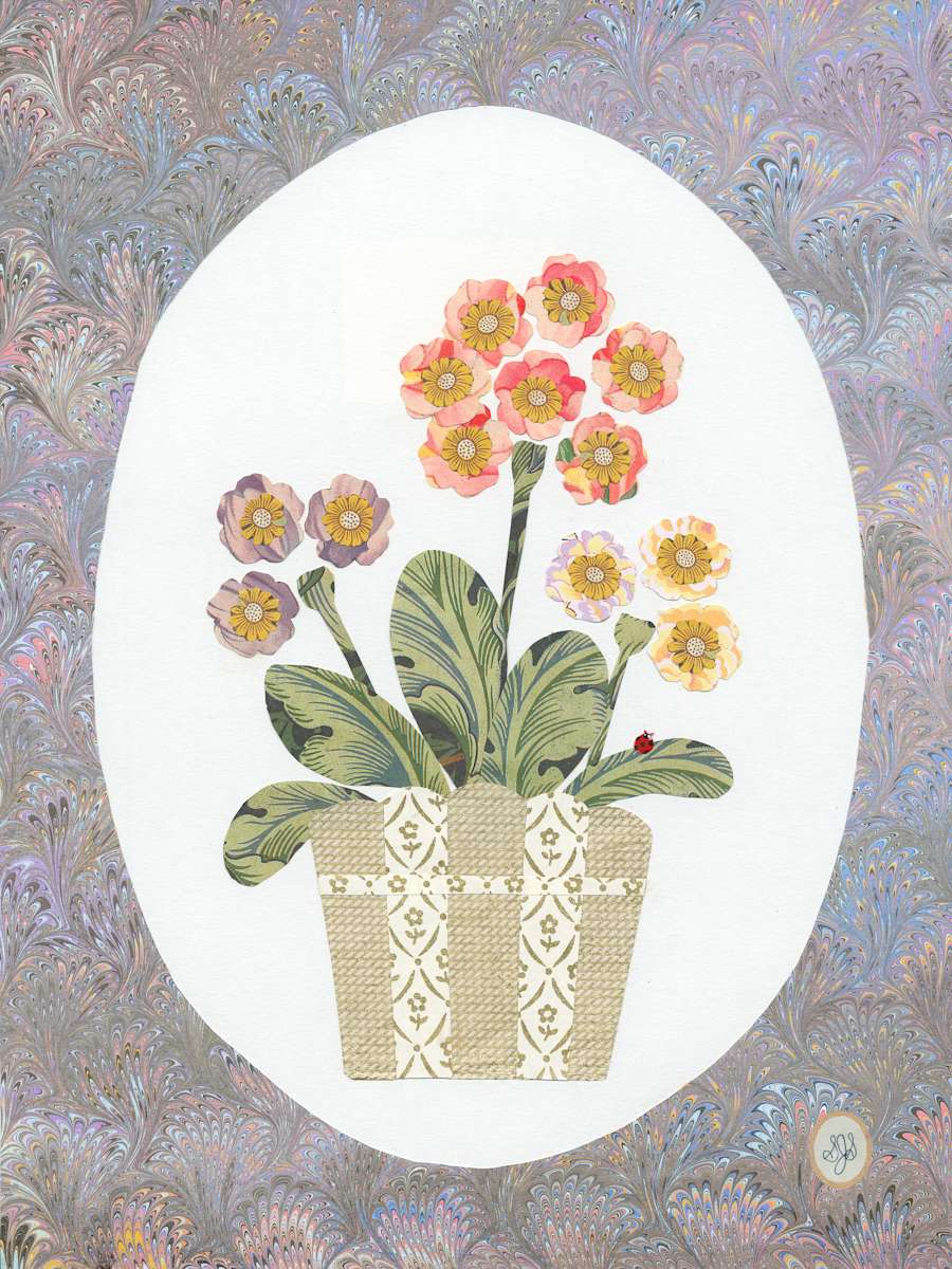 Primroses by Shannon Skinner 
