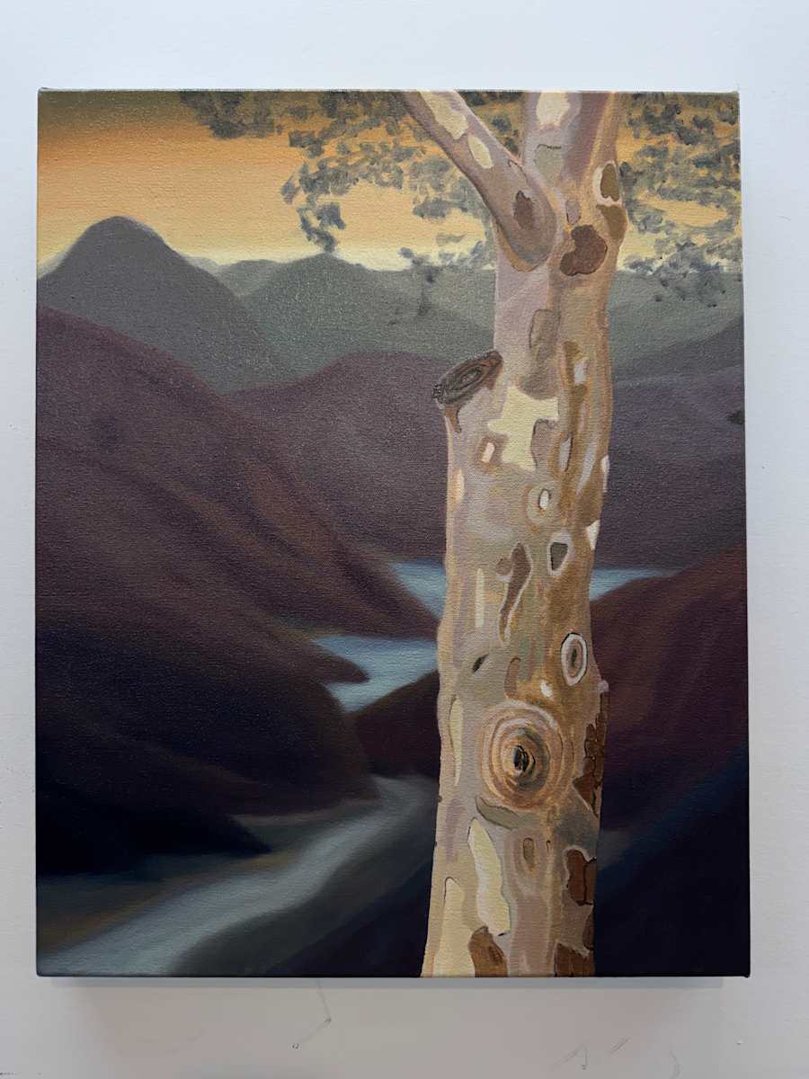 Knots by Mathew Tucker 