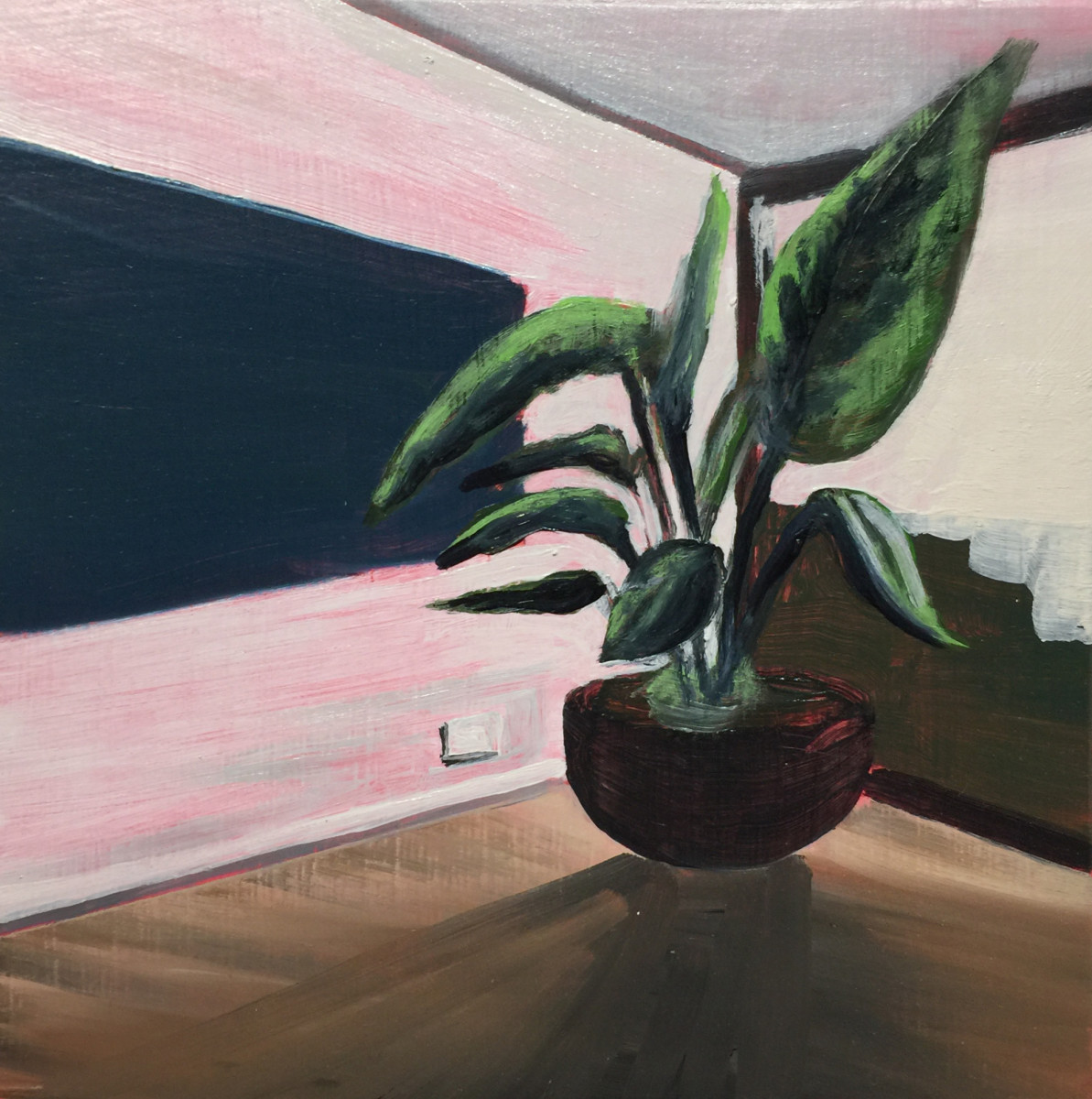 Plant in a room by Mathew Tucker 