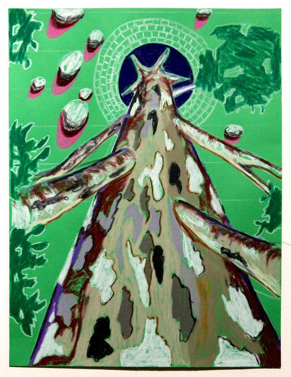 Tree Top by Mathew Tucker, Image 1.