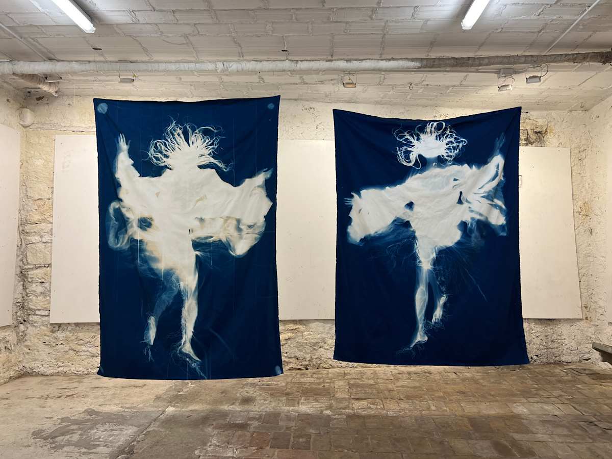 Nymphalidae (sibyl) by Heather Lyon 