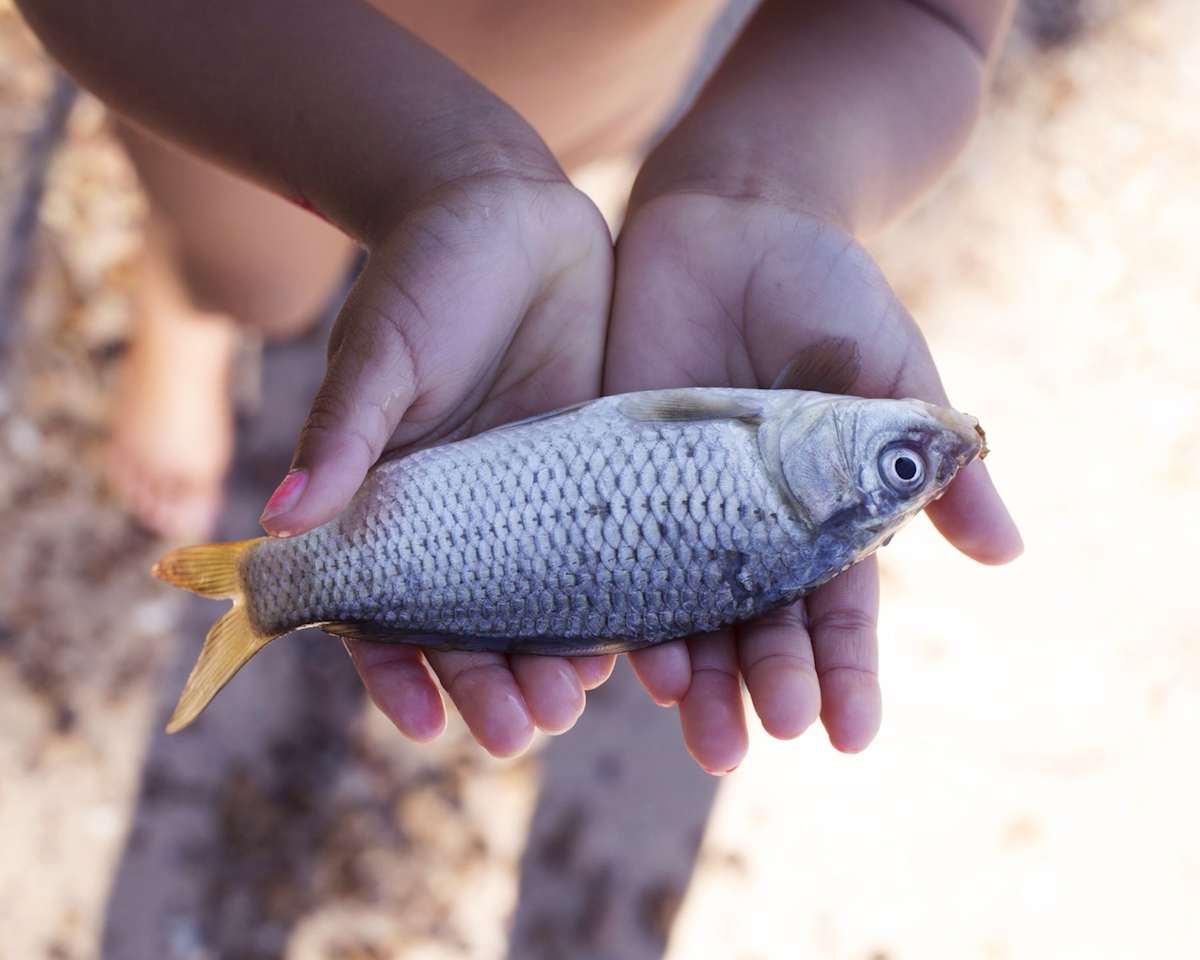 'Gratitude' by Danielle-Raye  Bischoff 