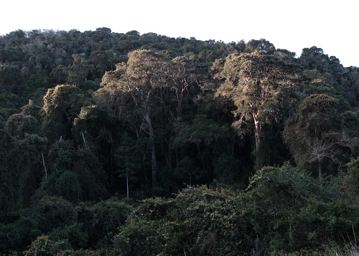 'Nature's Valley' by Danielle-Raye  Bischoff 