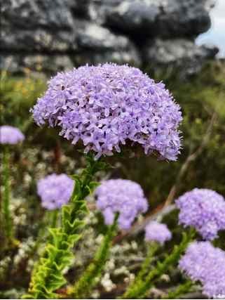 'Untitled 7' by Danielle-Raye  Bischoff 