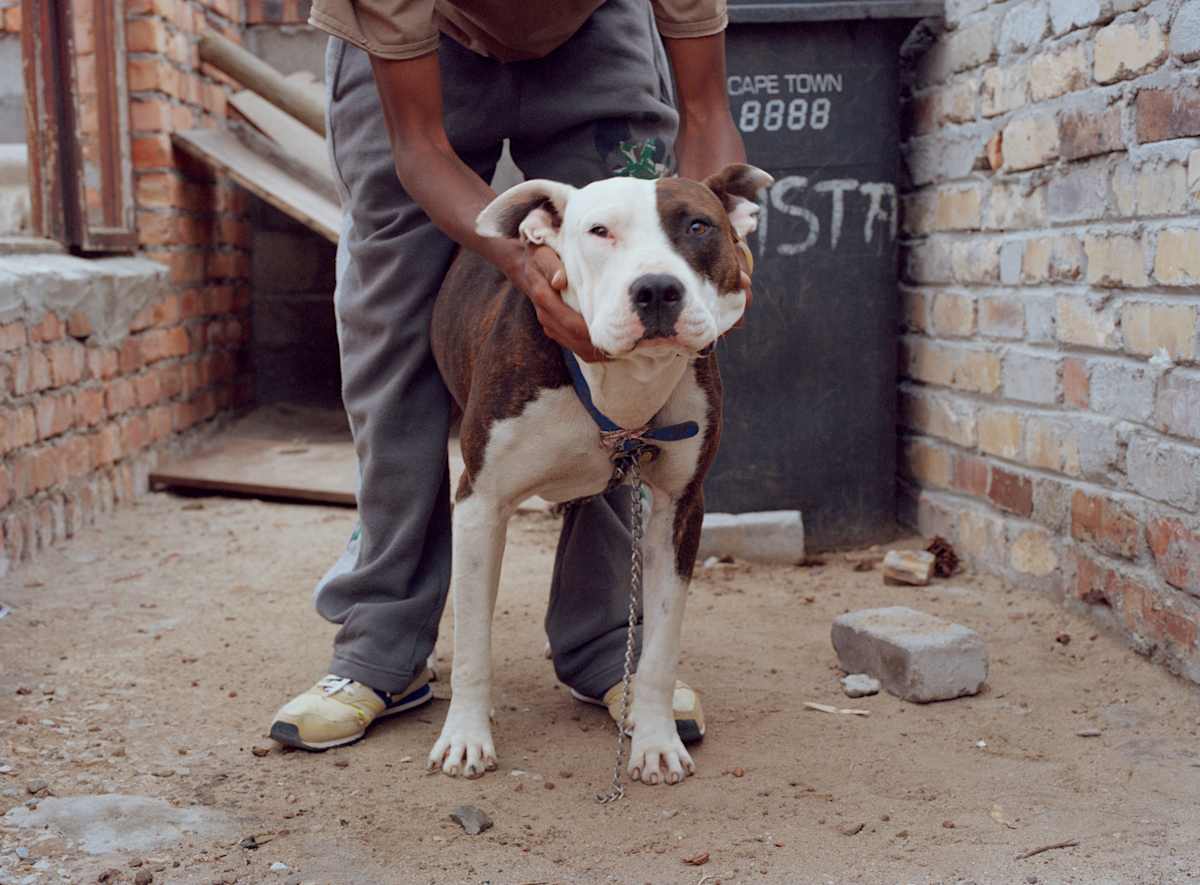 ‘Buya II' by Danielle-Raye  Bischoff 