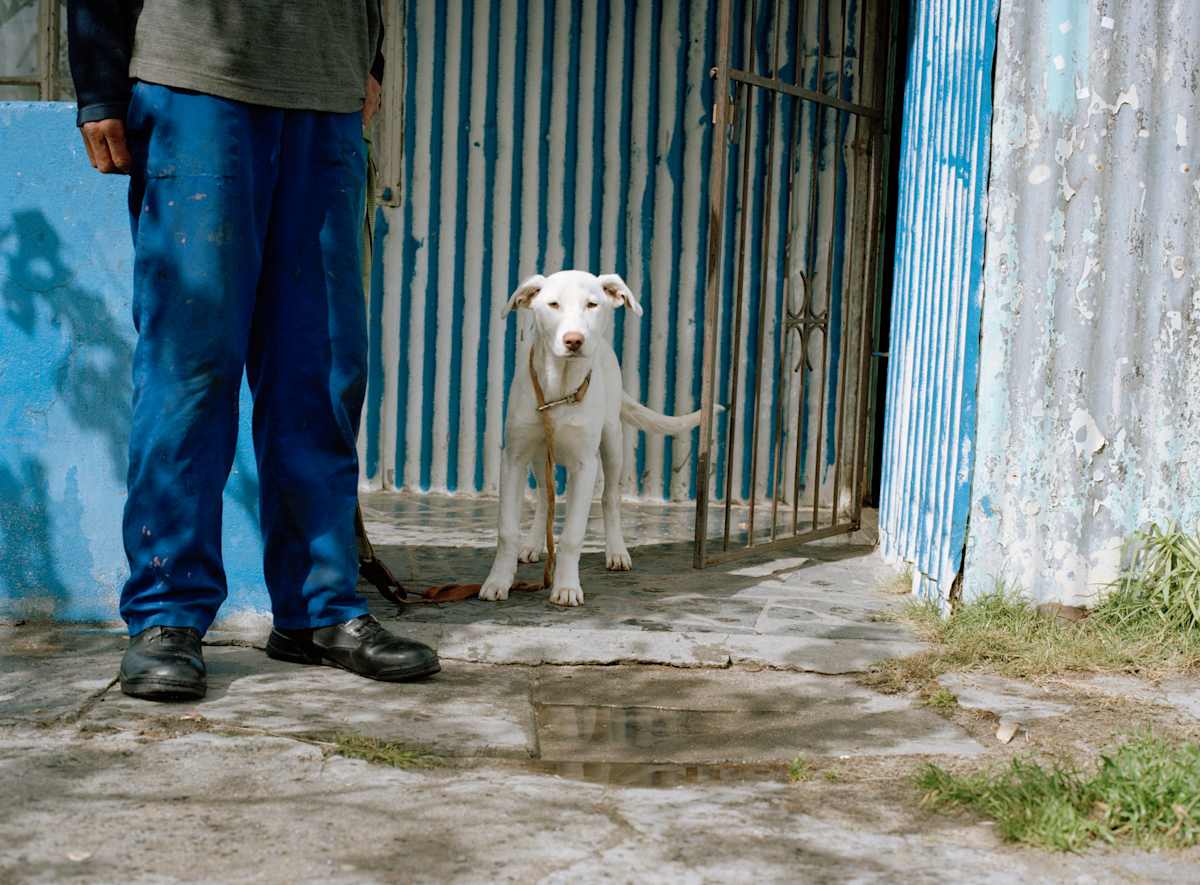 ‘Candy' by Danielle-Raye  Bischoff 