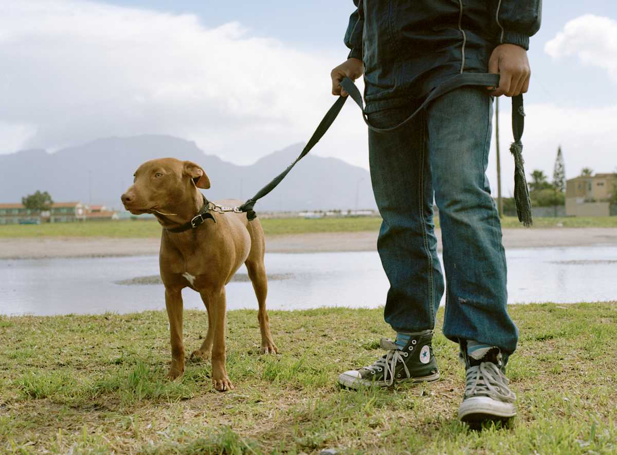 ‘Chico' by Danielle-Raye  Bischoff 