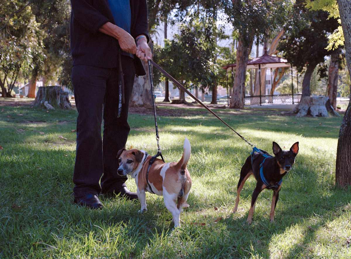 ‘Walter & Hoender' by Danielle-Raye  Bischoff 