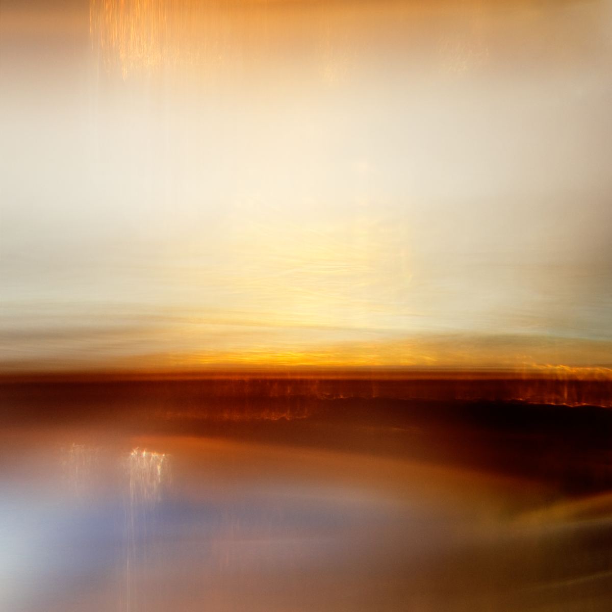 When Desert Meets Sea by Frances Seward 