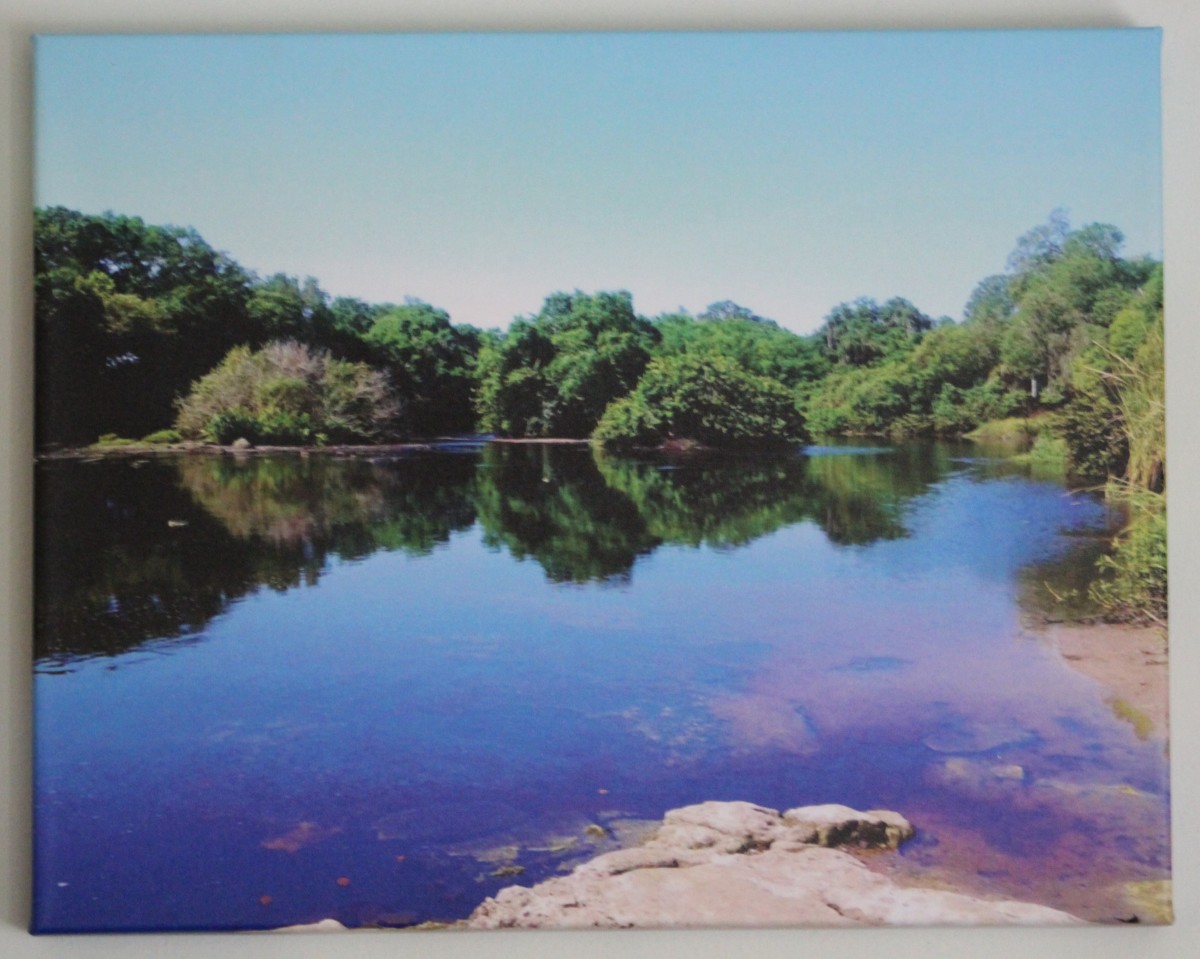 Medford Park by Lora Wood 