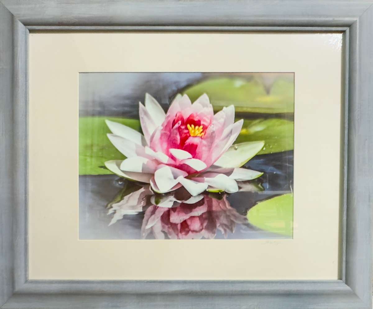 Framed Floral Dream by Lora Wood 