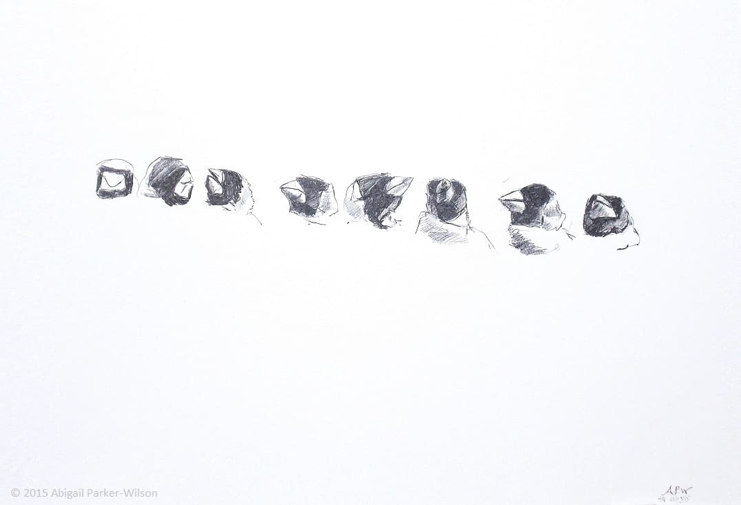 Goldfinch Study #4 by Abigail Parker-Wilson  Image: Goldfinch Study #4