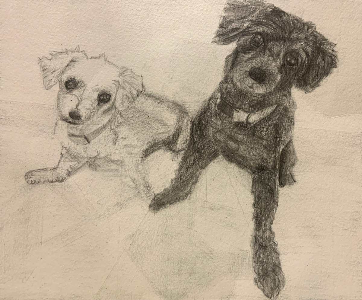 Dogs by Victor Vera 