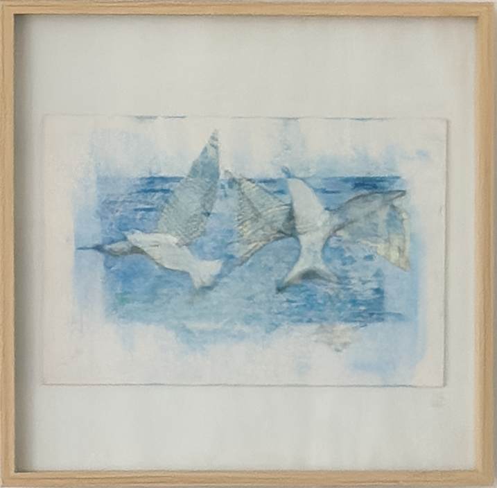 Rainbow by Micky Focke 