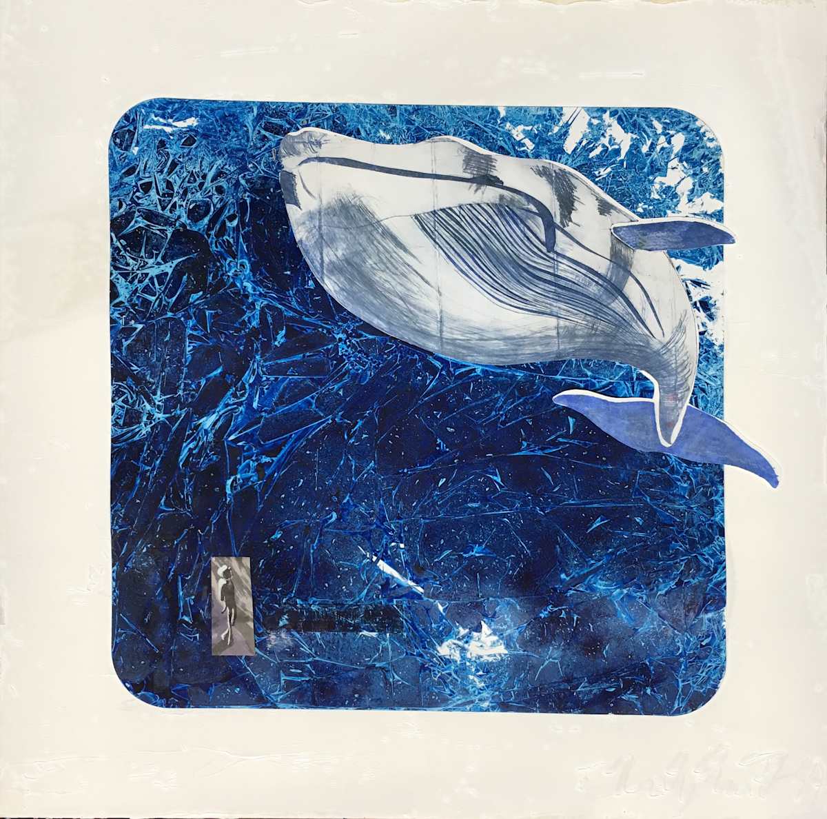 So Many! So Many? by Micky Focke 